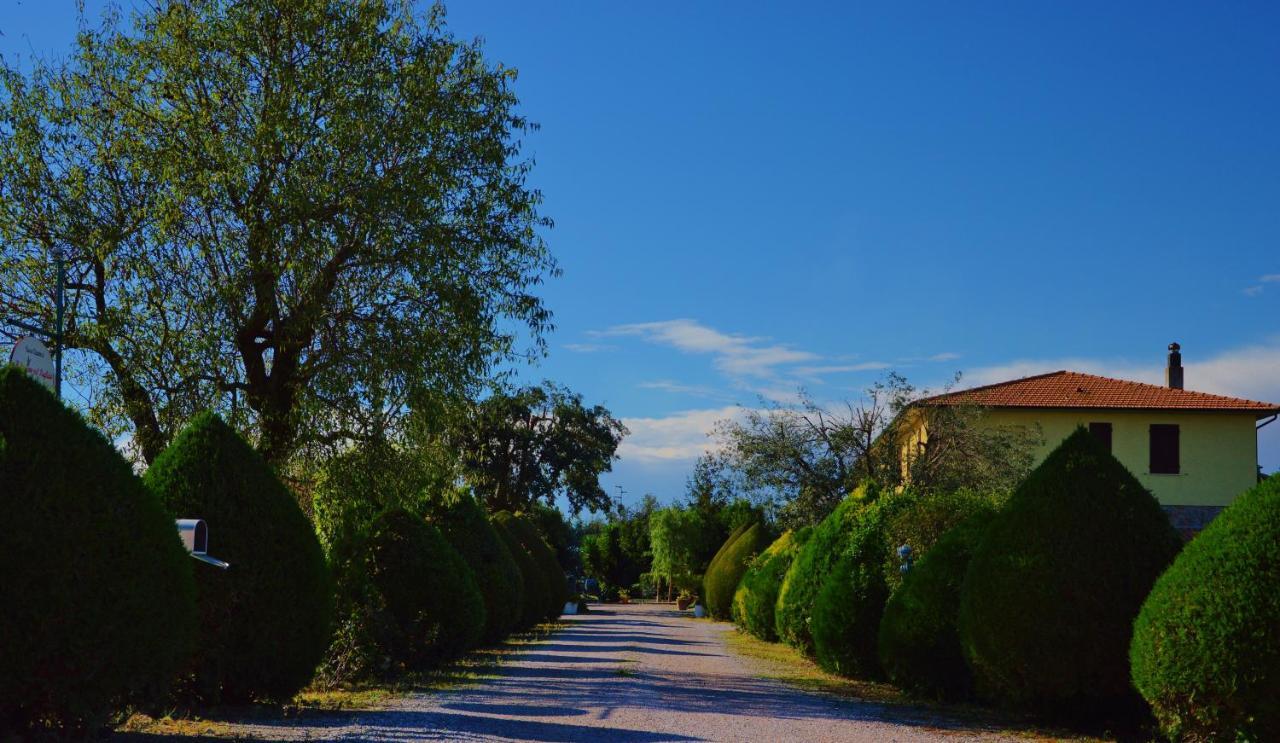 Agriturismo Il Cuscino Nel Pagliaio Campiglia Marittima Eksteriør billede