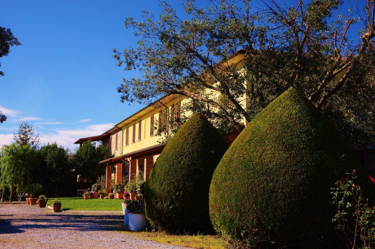Agriturismo Il Cuscino Nel Pagliaio Campiglia Marittima Eksteriør billede