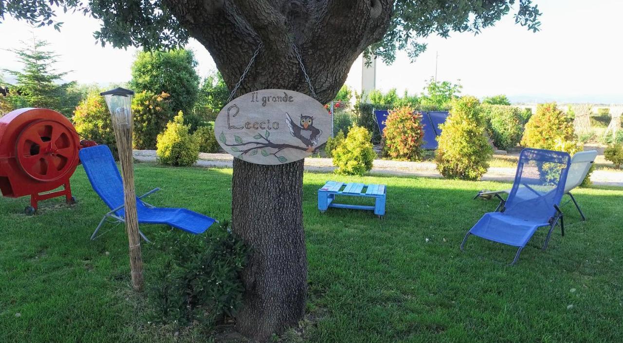 Agriturismo Il Cuscino Nel Pagliaio Campiglia Marittima Eksteriør billede