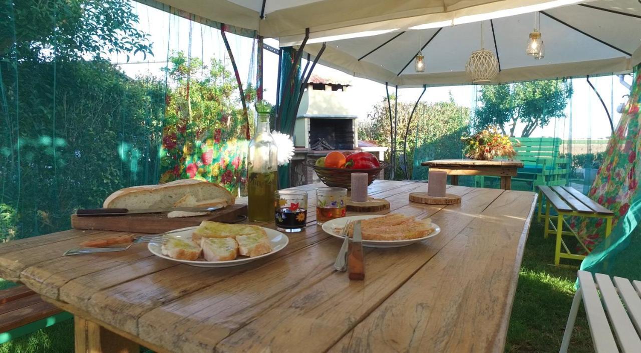 Agriturismo Il Cuscino Nel Pagliaio Campiglia Marittima Eksteriør billede