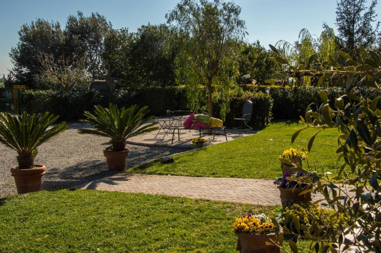 Agriturismo Il Cuscino Nel Pagliaio Campiglia Marittima Eksteriør billede